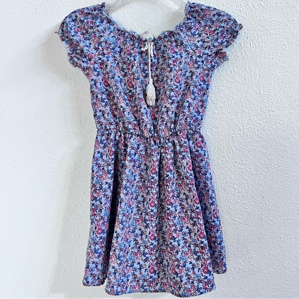 Lily Bleu blue/pink floral dress